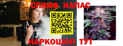 гидра Волгодонск