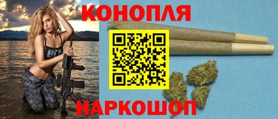 гидра Волгодонск