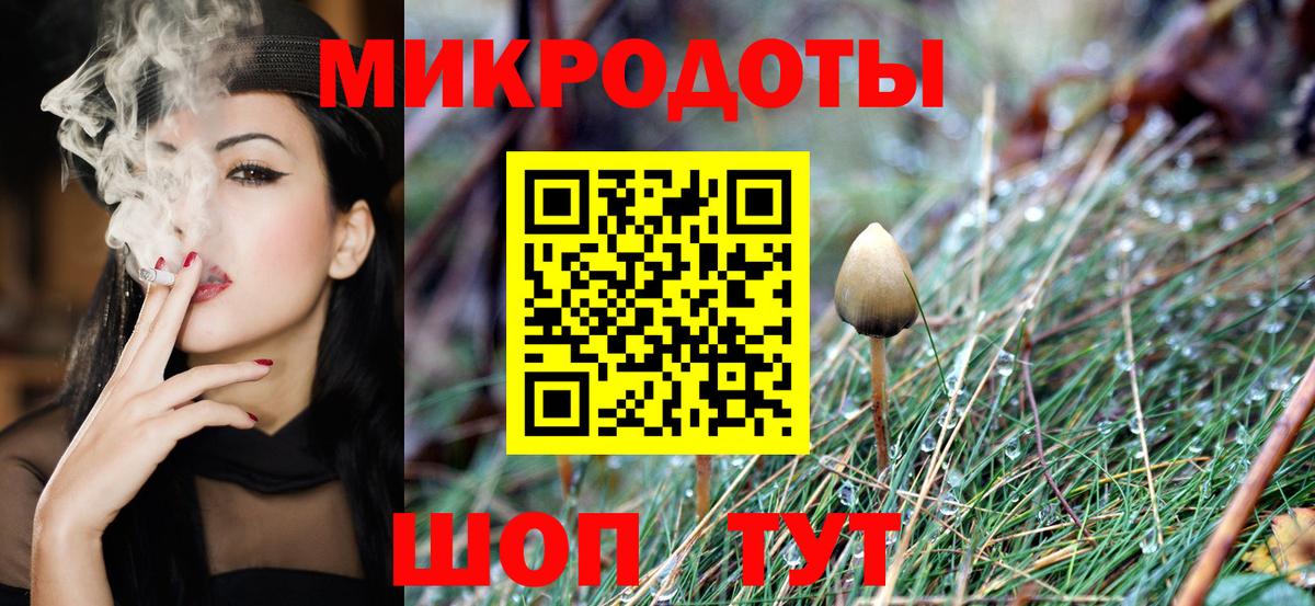 Псилоцибиновые грибы мицелий Железноводск