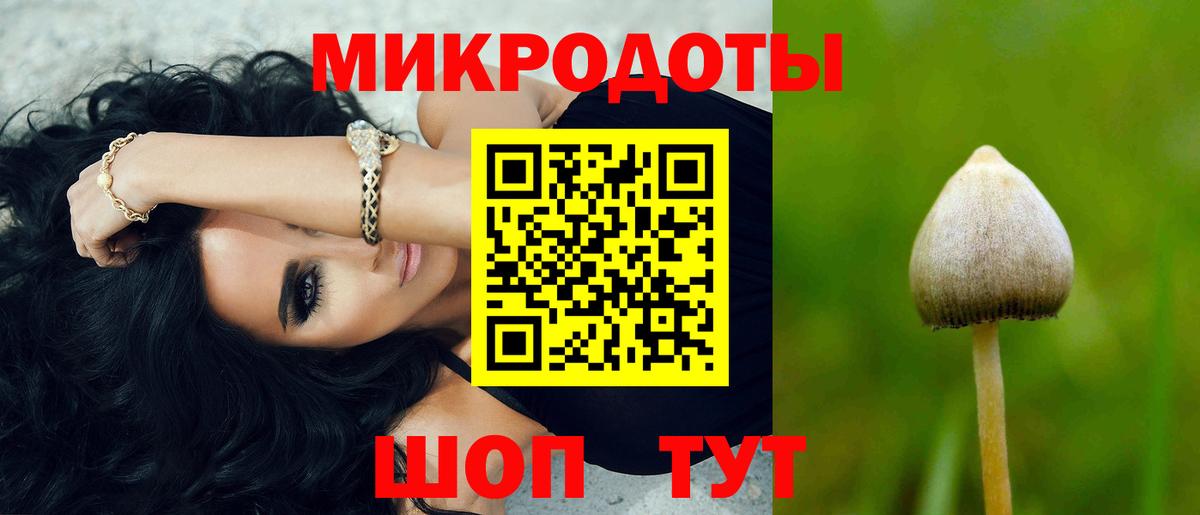 Псилоцибиновые грибы прущие грибы  Вход с VPN  Железноводск  Псилоцибиновые грибы Psilocybe 